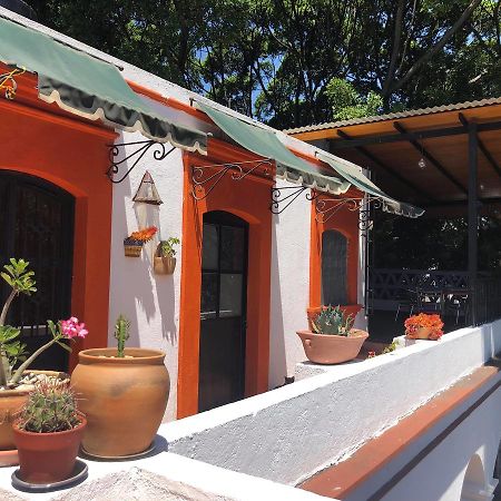 Casa Frida B&BOaxaca エクステリア 写真