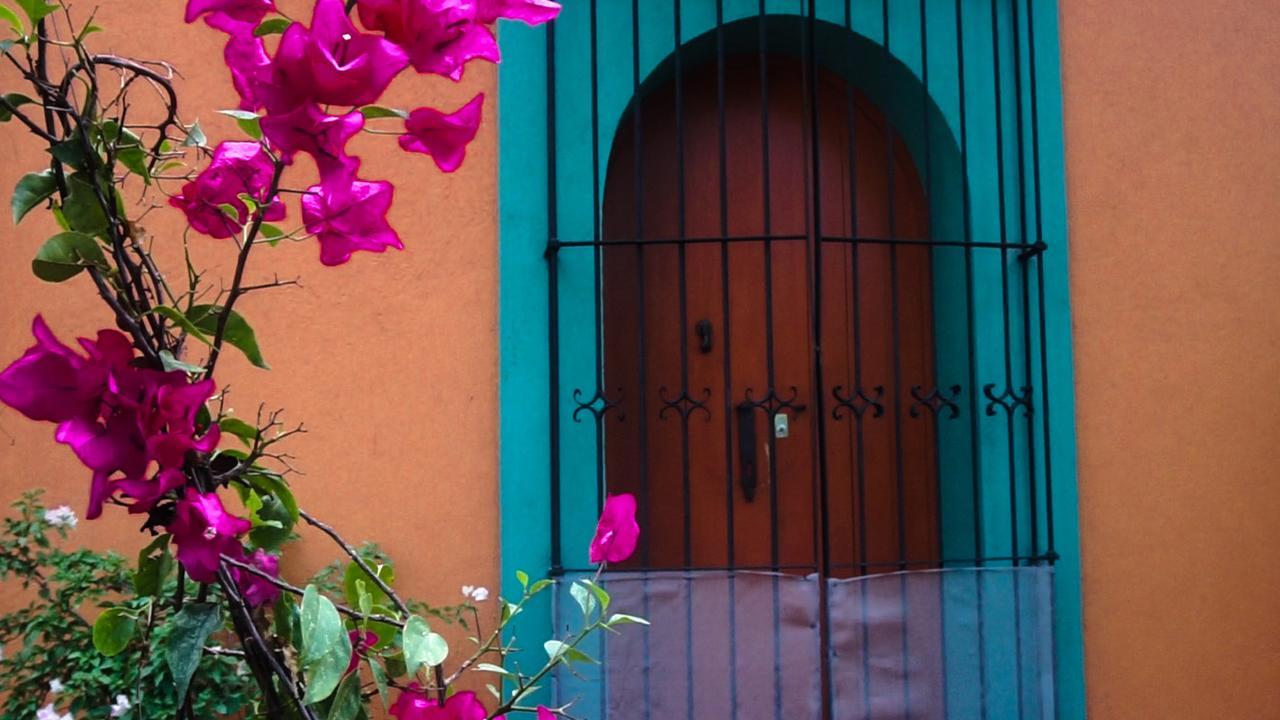 Casa Frida B&BOaxaca エクステリア 写真
