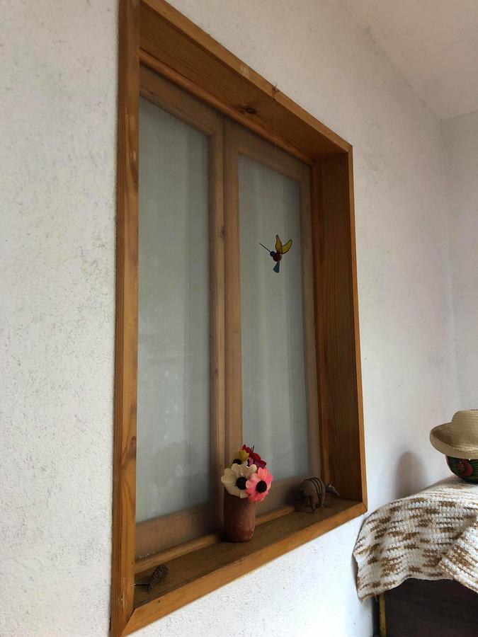Casa Frida B&BOaxaca エクステリア 写真
