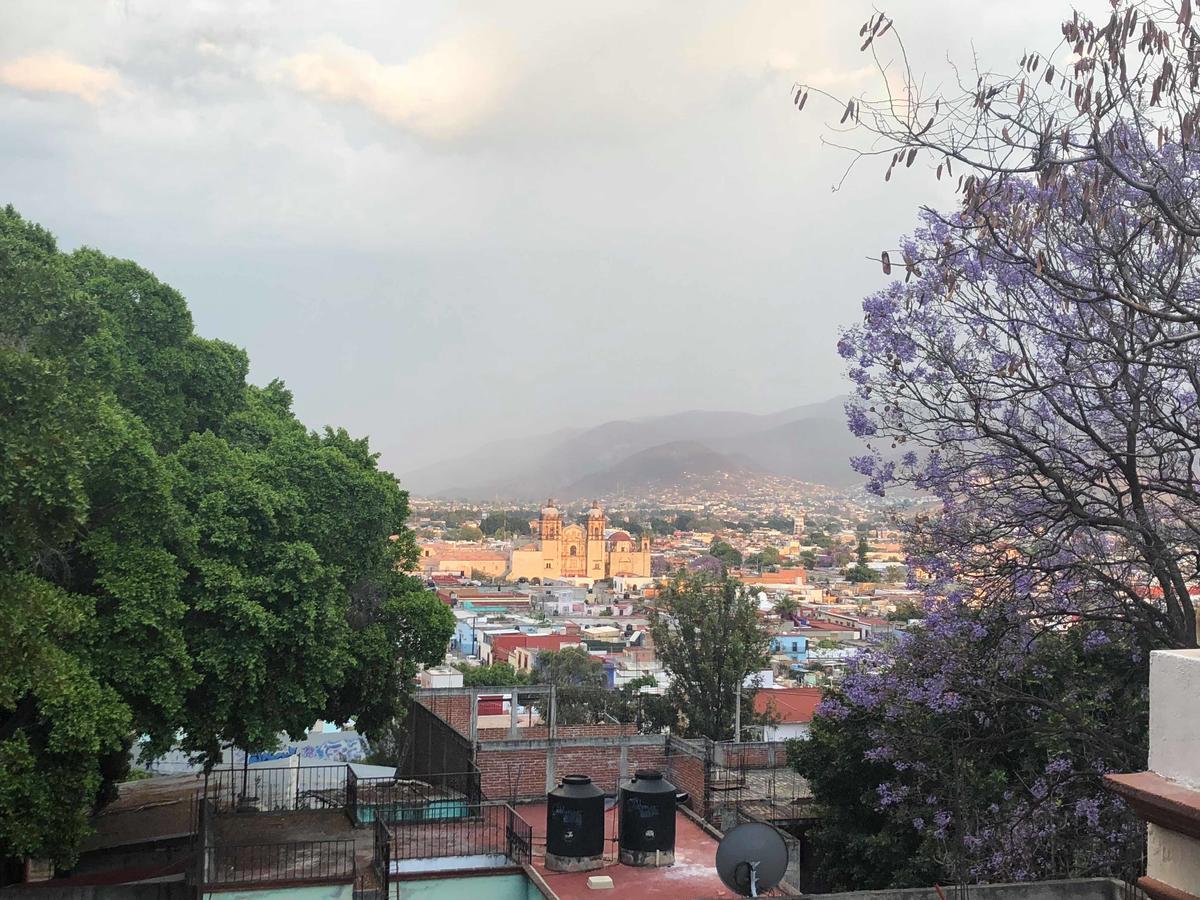 Casa Frida B&BOaxaca エクステリア 写真