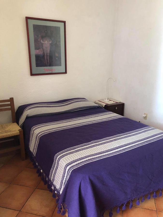 Casa Frida B&BOaxaca エクステリア 写真