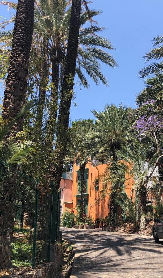 Casa Frida B&BOaxaca エクステリア 写真