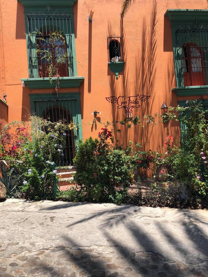 Casa Frida B&BOaxaca エクステリア 写真